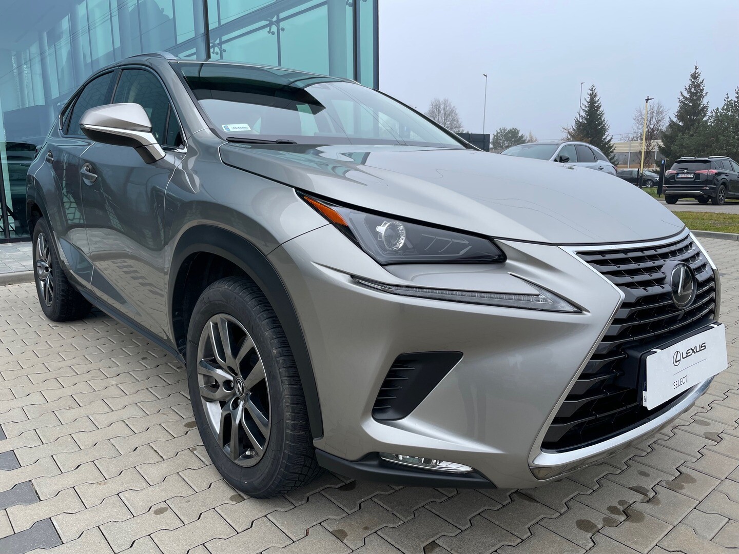 Lexus NX
